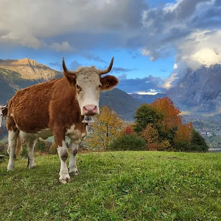 Apartamento Caroline