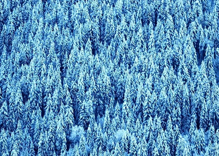 Caroline Appartamento