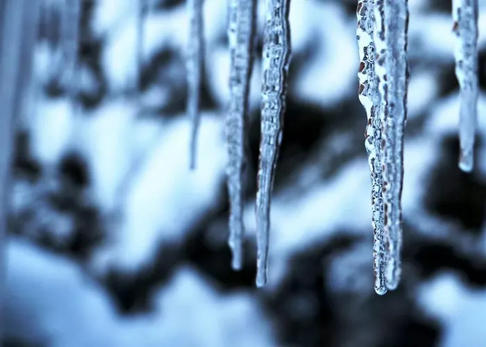 Διαμέρισμα Caroline Γκρίντελβαλντ