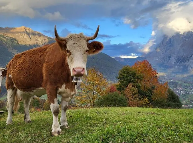 Appartamento Caroline