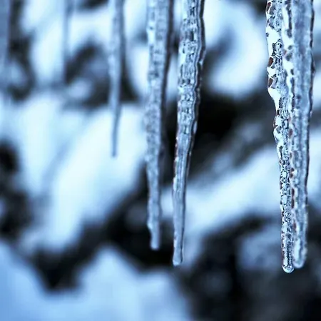 Lägenhet Caroline Grindelwald